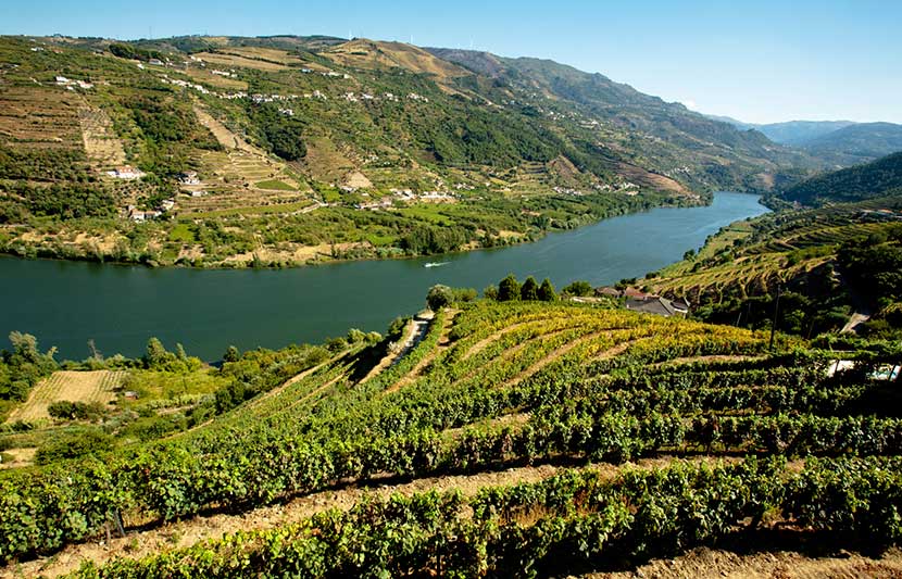 Firmarejse Douro