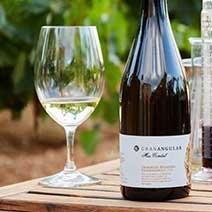 Vintur til Penedès fra Barcelona
