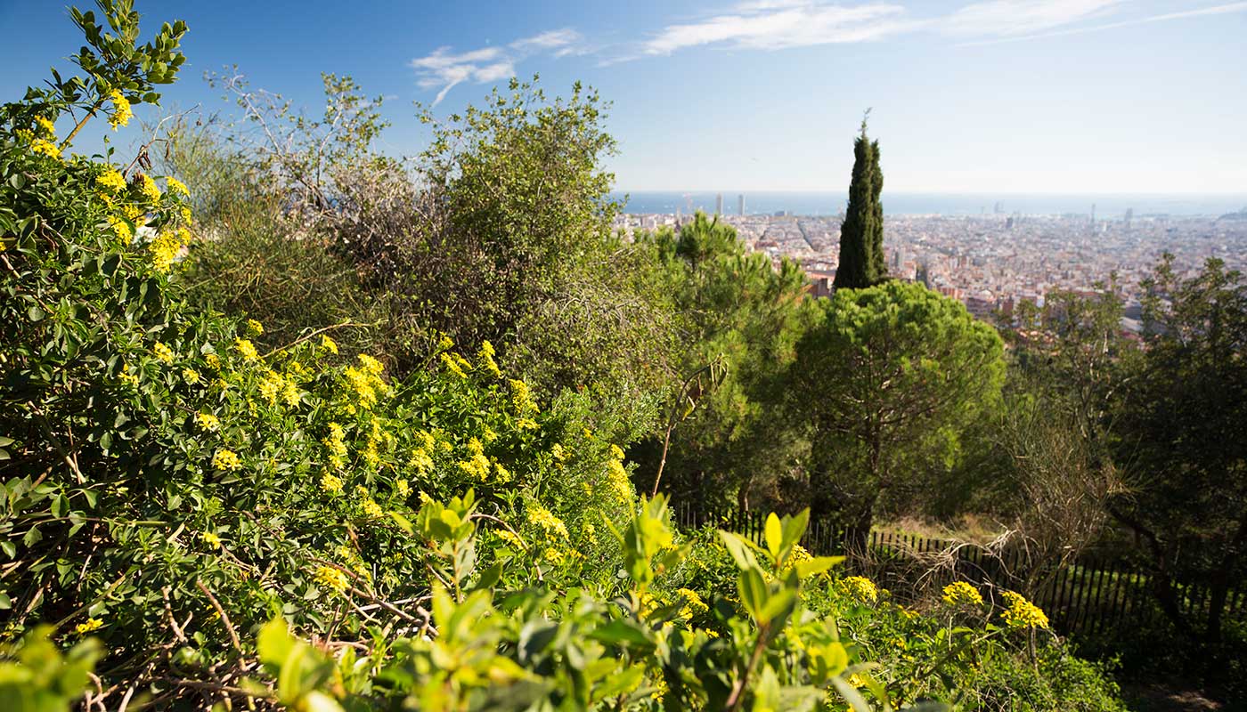 Bloster i Park Guell