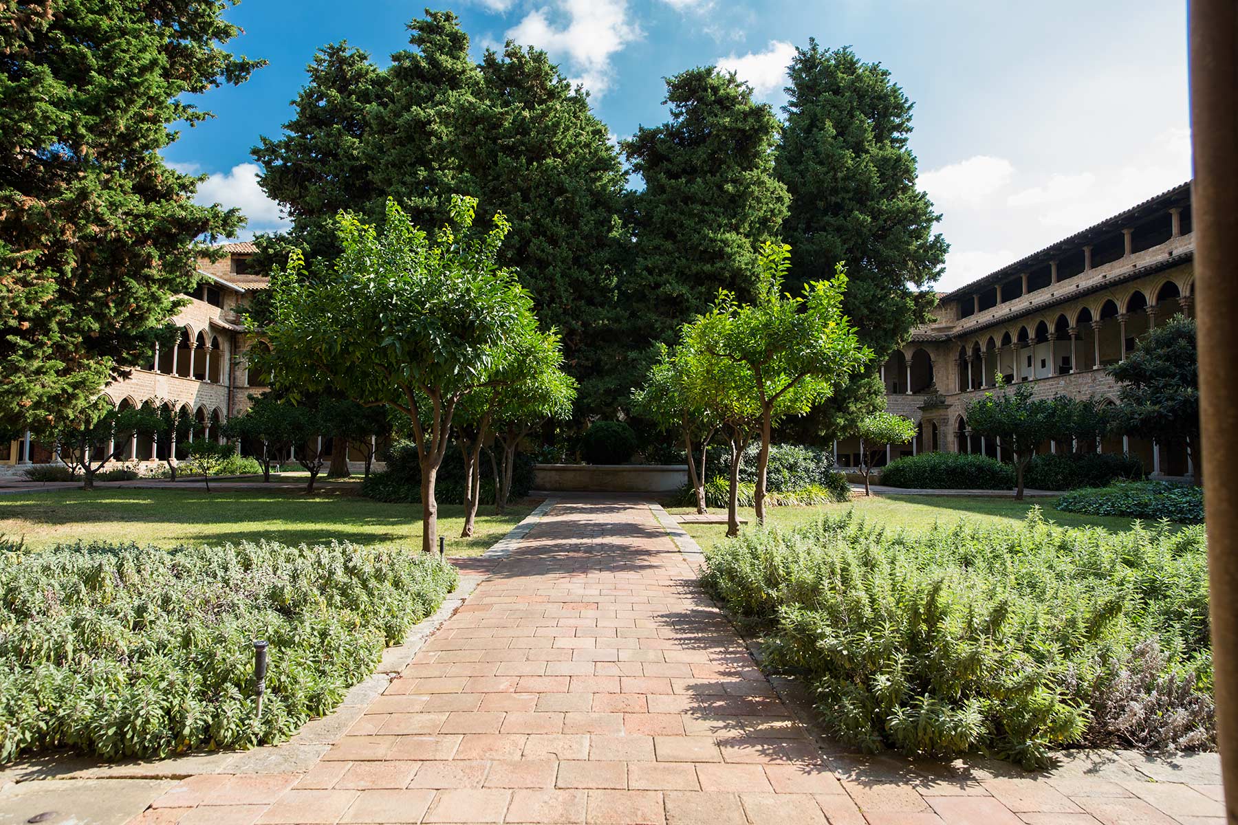 Pedralbes