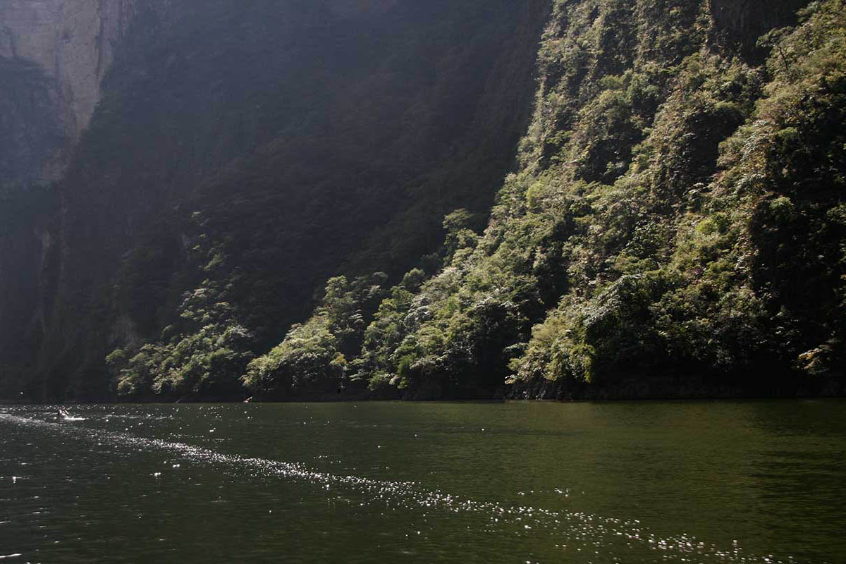 Natur i Mexico