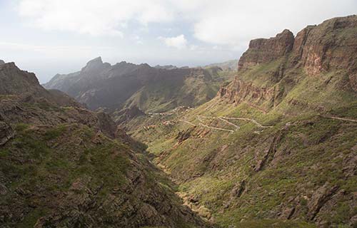 Studierejse til Tenerife