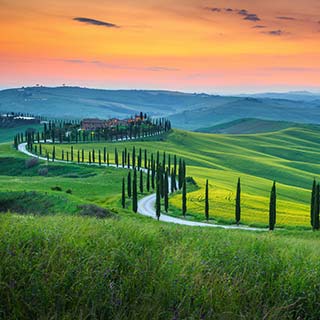 Firmarejser til Toscana